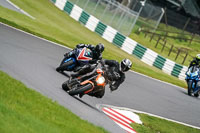 Lower Group Orange Bikes